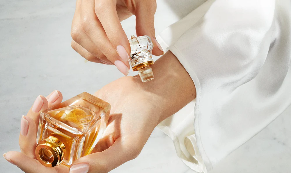 Collection en vedette