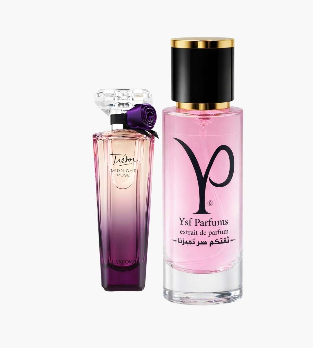 Trésor Midnight Rose
